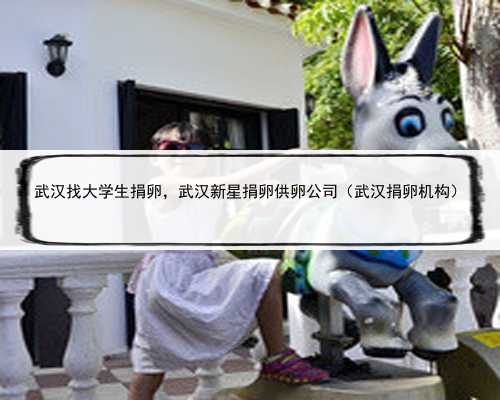 武汉找大学生捐卵，武汉新星捐卵供卵公司（武汉捐卵机构）
