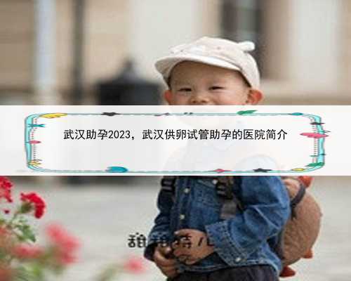 武汉助孕2023，武汉供卵试管助孕的医院简介