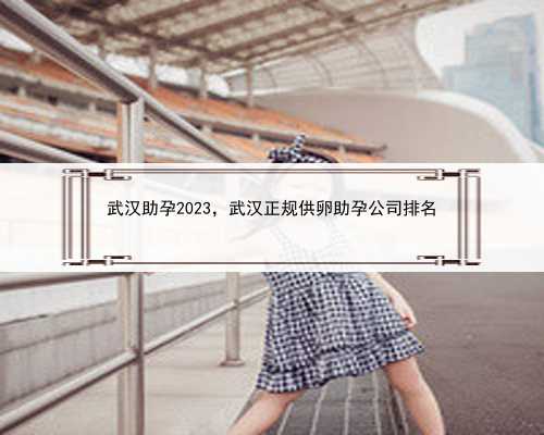 武汉助孕2023，武汉正规供卵助孕公司排名